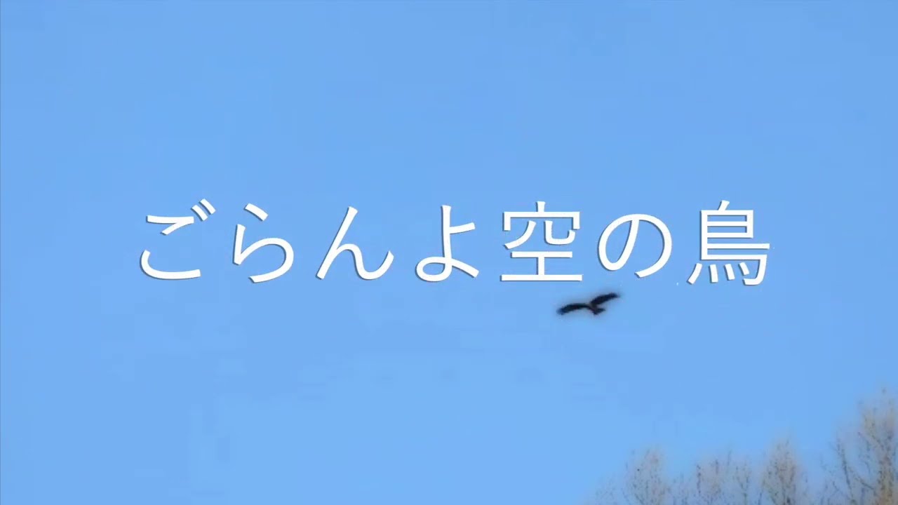 【なおみちゃんさん専用】富貴蘭　讃美歌+歌詠み鳥 ごらんよ空の鳥 - YouTube