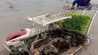 MESIN TANAM PADI ISEKI