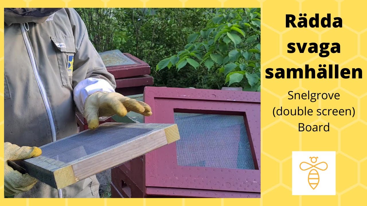 Hur räddar du svaga bisamhällen på våren