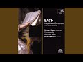 Miniature de la vidéo de la chanson Concerto In E Major, Bwv 1053: Iii. Allegro