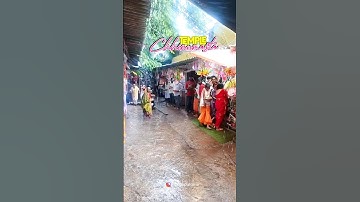 Tere Pass Mai Kaise Aawun Maa 🌺 #rajrappa #darshan #maakali #mandir #jharkhand  #shortvideo #life