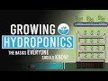 Hydroponics: The Basics Everyone Should Know!