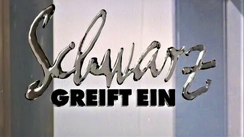 Schwarz greift ein - Intro 1994 - 1999