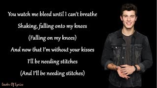 Shawn Mendes - STITCHES (Lyrics) Resimi