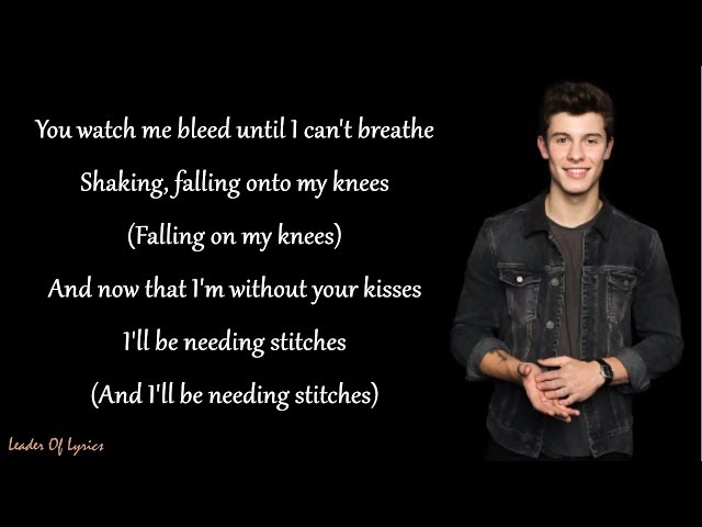 Shawn Mendes - STITCHES (Lyrics) class=