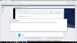Dogethernum Dogx Wallet Windows Wallet Review