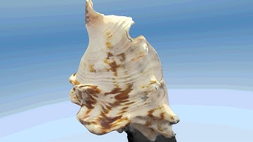 3D scan With 123D Catch *No How To*