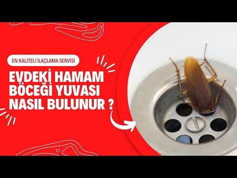 Evdeki Hamam Böceği Yuvası Nasıl Bulunur ? - ilaclama.com.tr