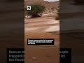Severe flooding hits western Libya as power and water supplies disrupted