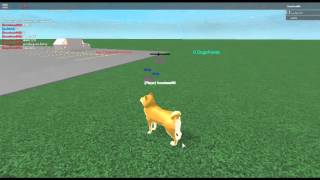 Decal Id Roblox Doge - doge sim 2016 roblox