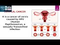 HPV: A Silent Threat For Cervical & Genital Cancers | Dr. Murugan Nandagopal | LifeCell