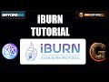 Iburn icosa burn protocol tutorial on pulsechain