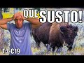 😱 TREMENDO SUSTO 👉 Nos ATACA un ANIMAL SALVAJE 🦬 Custer City and State Park 🇺🇸 ARGENTINA a ALASKA
