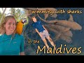 The Maldives - Islands, Beaches, Stingrays, and Sharks!