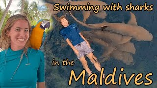 The Maldives - Islands, Beaches, Stingrays, And Sharks
