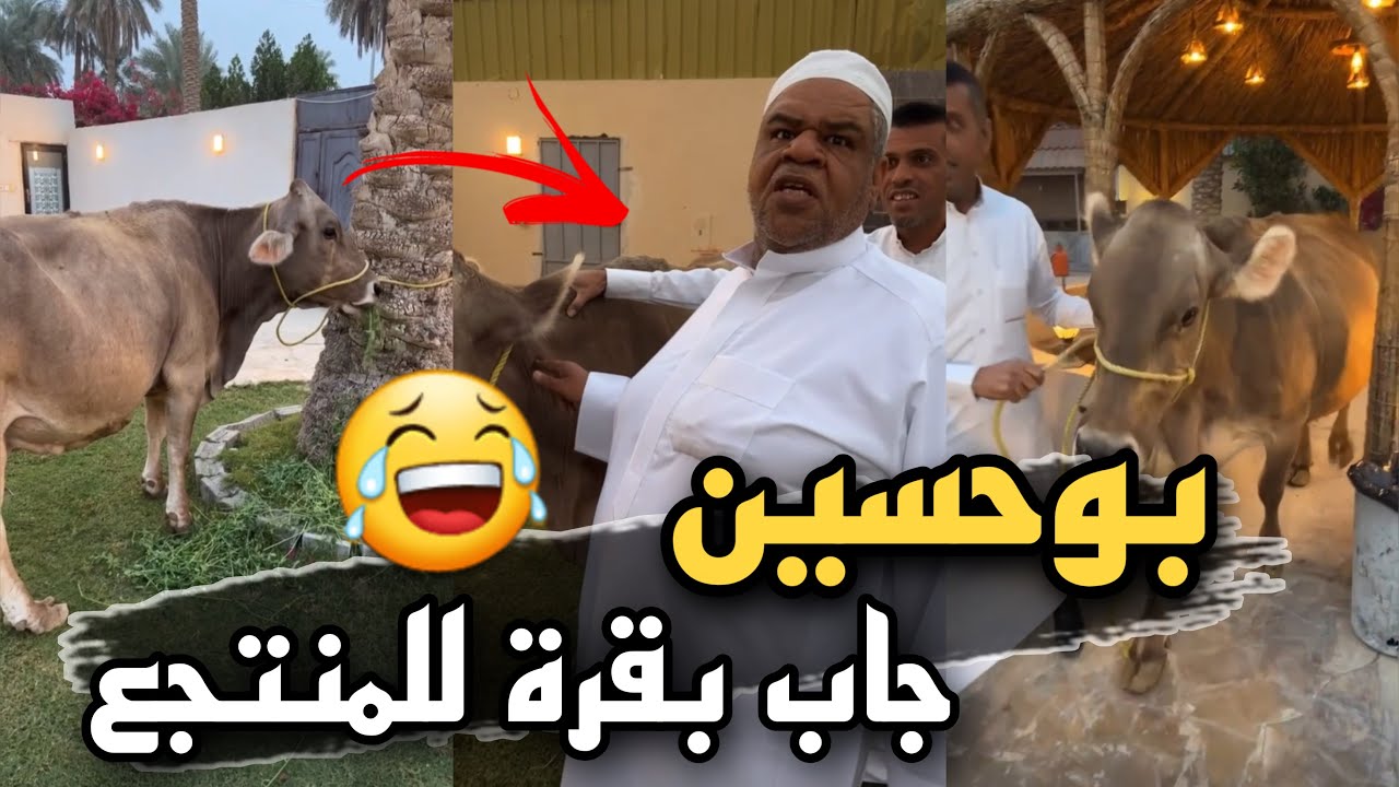 بوحسين جاب بقرة للمنتجع 😱🤣 | سنابات حسين البقشي