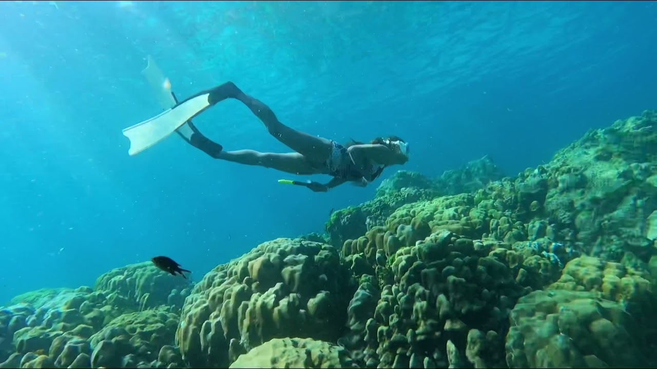 How to make your self happy! Go freedive. Freediving Koh Haa, Krabi
