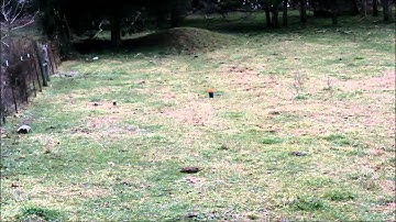 Having Fun With The AK & Exploding Target