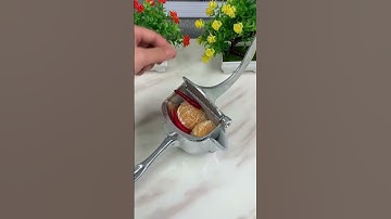 Máy Ép Trái Cây Cầm Tay Không Gỉ