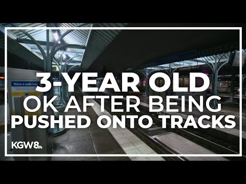 Woman arrested for pushing 3-year-old onto MAX train tracks in Portland