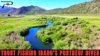 Trout Fishing Idaho's Portneuf River