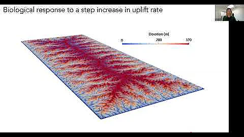 Landscapes Live online seminar by Helen Dow (ETH Z...