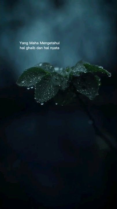 Makrifatullah #shortvideo #shortsfeed #snapwa #jakarta #shortsvideo #tiktok #tiktokhits #makrifat