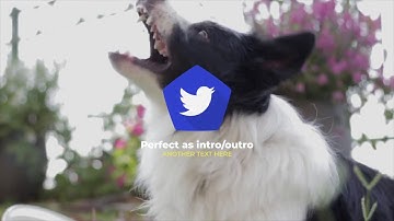 Quick Modern Logo | After Effects Template #Videohive #AfterEffectsTemplate #Videohive