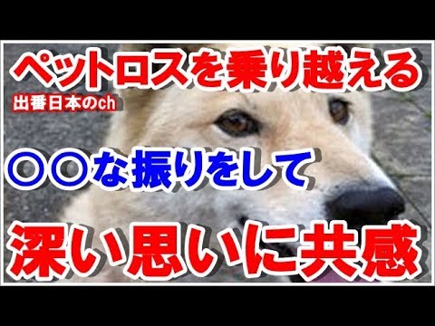 【感動する話】ゴールデンボンバーの樽美酒研二さんの愛犬への深い思いに共感の声、ペットロスを乗り越える「元気な振りをして頑張る」