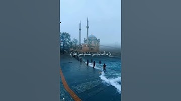أينما تكونوا يدرككم الموت ولو كنتم في بروج مشيدة - الشيخ ماهر المعيقلي - سورة النساء