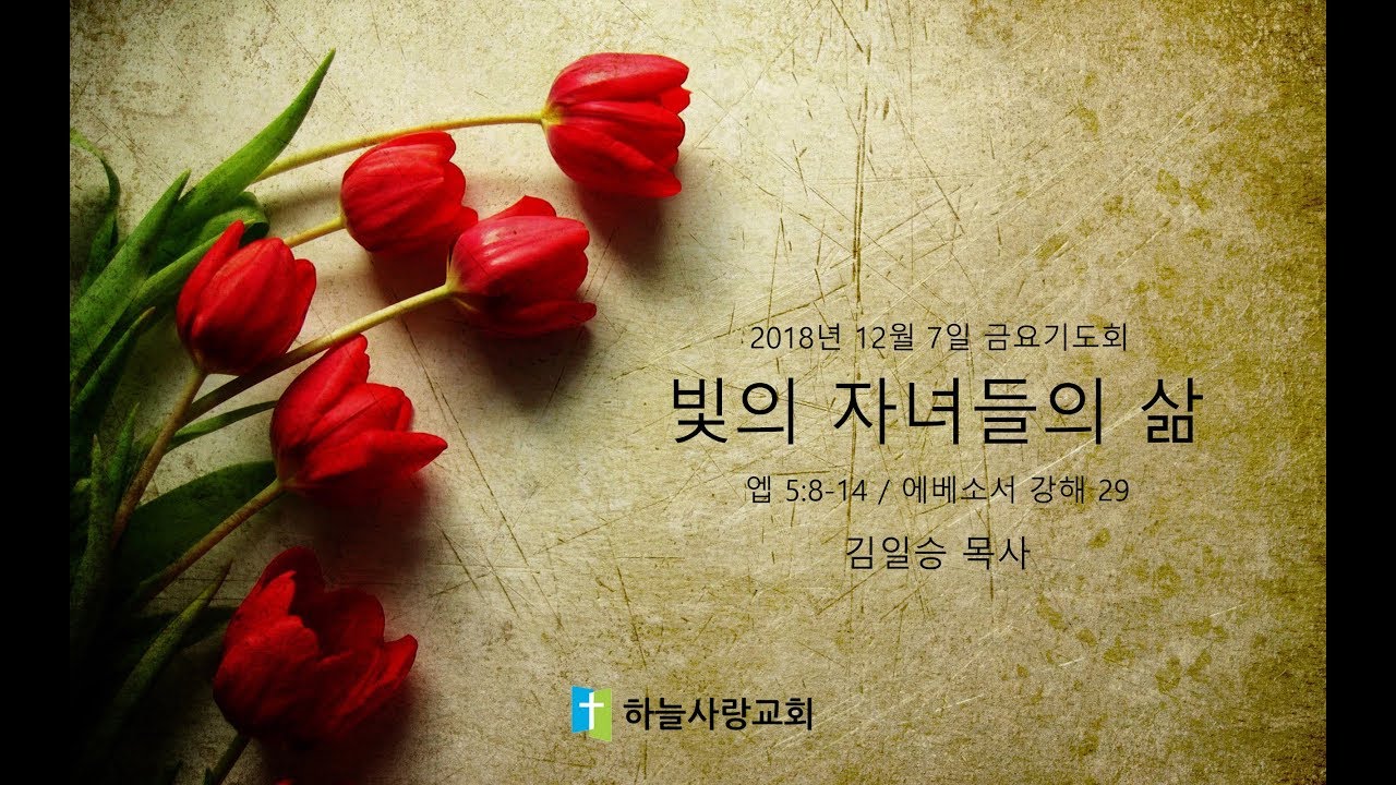 에베소서 29 5:8-14 빛의 자녀들의 삶