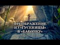 Когда же закончится Трансформация или так и будет продолжаться всю нашу жизнь?