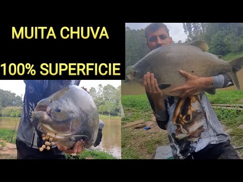 MUITO PEIXE E CHUVA NO PESQUEIRO CANAÃ congonhal mg ! 100% SUPERFICIE!!