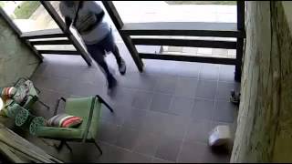 Postal carrier caught on tape tossing package