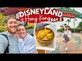 Hong kong disneyland vlog  crystal lotus dim sum unique attractions  the lion king show 