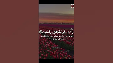 وإذا مرضت فهو يشفين عبدالباسط 