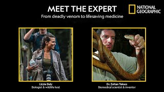 Lifesaving Medicines from Deadly Animals - Meet the Expert | National Geographic