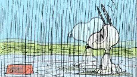 HOW TO TELL A STORY IN 30-SECONDS OR LESS: "Happiness is a Warm Puppy"