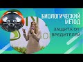 Биологический метод защиты от вредителей