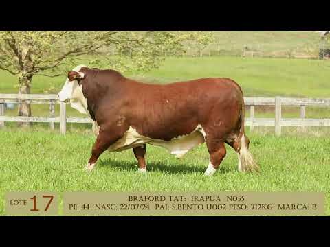 LOTE 17   N055