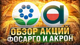 РАЗБОР АКЦИЙ ФОСАГРО И АКРОН! АНАЛИЗ СЕКТОРА УДОБРЕНИЙ