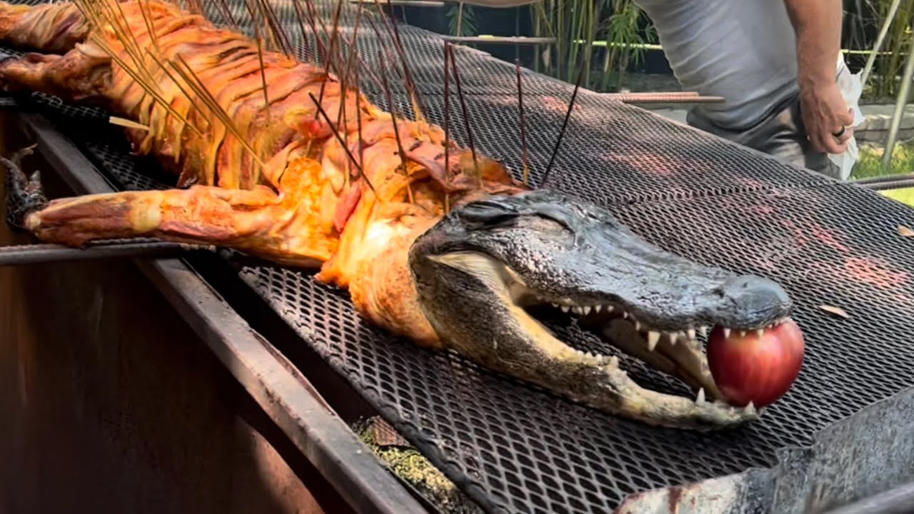 Whole Alligator!!! - YouTube