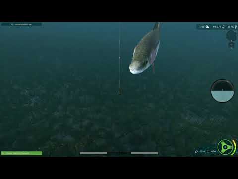 Видео: Обзор игры Ultimate Fishing Simulator