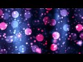 Circular Purple & Pink Particles Moving  4K Relaxing ...