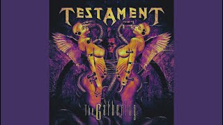 Testament - D.N.R. (B Tuning + Remaster)
