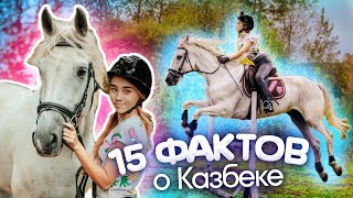 15 ФАКТОВ О КАЗБЕКЕ | Факты о лошадях