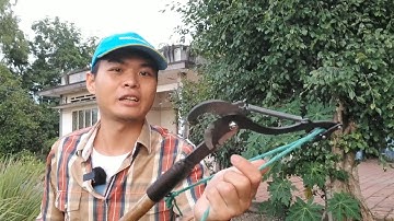 Kéo cắt cành gắn cây siêu bá đạo chỉ cần giật dây, giá siêu rẻ 100k lacativi