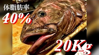 アブラボウズ Youtube