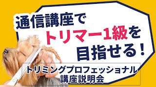 【講座説明】トリミングプロフェッショナル講座　知識＋技法＋実践力でペットのプロになる！