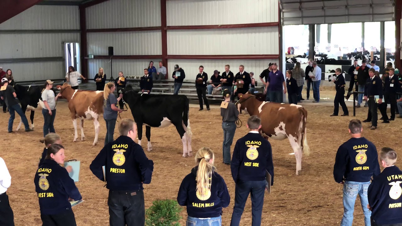 Dairy Cattle Judging Contest in Richmond, Utah. Home of Black and White